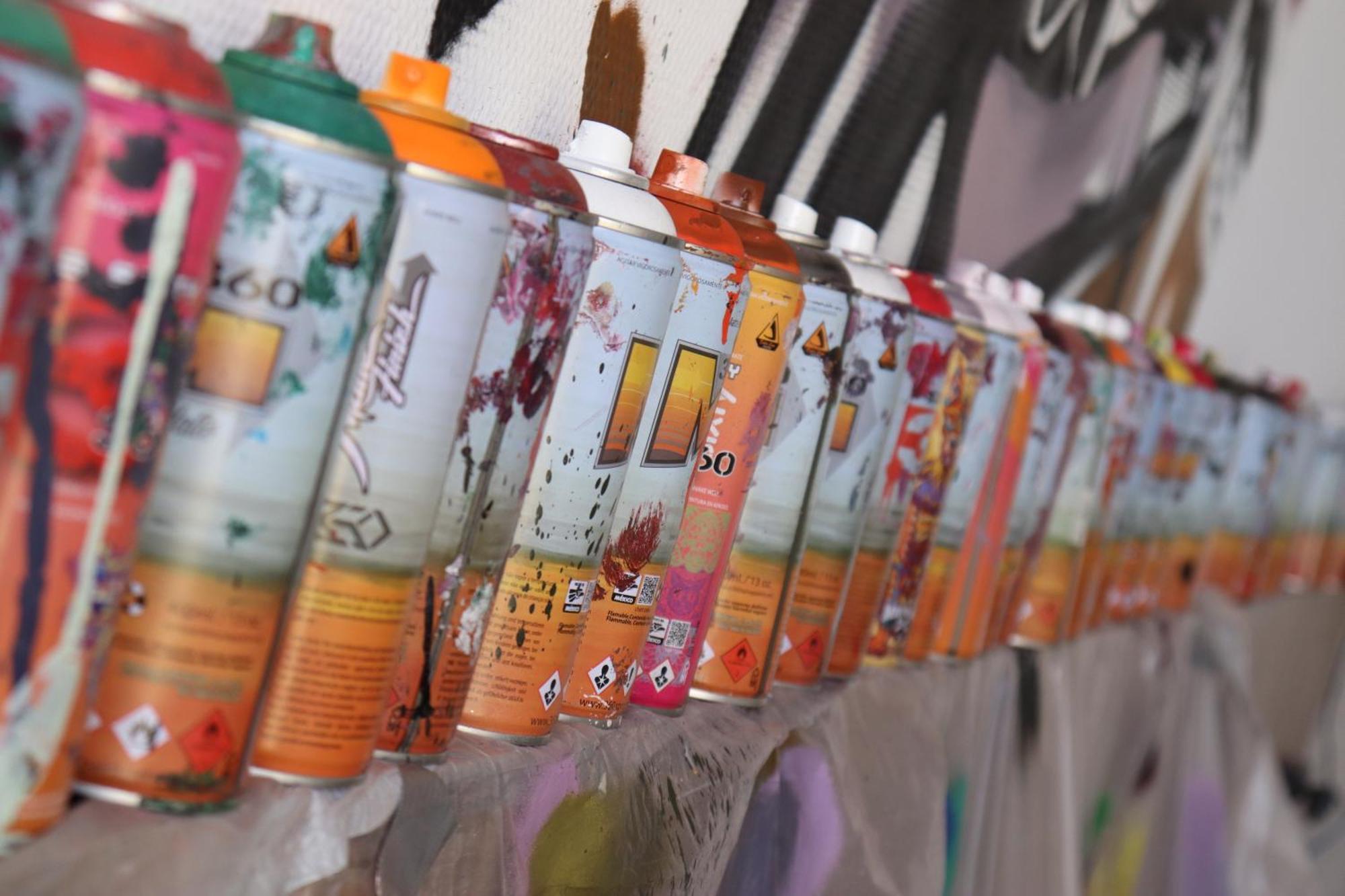 Street Art Hotel Roma Meksyk Zewnętrze zdjęcie
