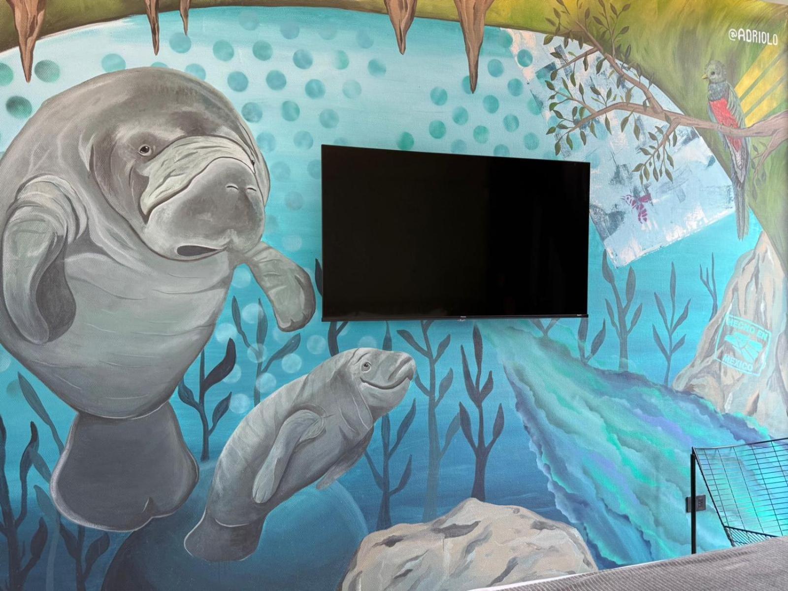 Street Art Hotel Roma Meksyk Zewnętrze zdjęcie